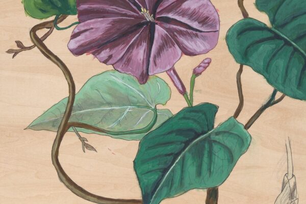 Ben LaMar Gay - yowzers - BestNewMusic2025 - New Music 2025 > Q2 > W17