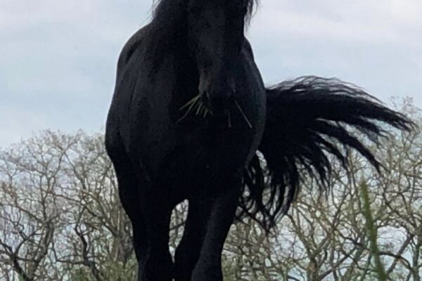 Fine - I Could - BestNewMusic2025 - New Music 2025 > Q2 > W17