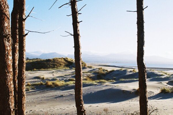 Getdown Services - Eat Quiche, Sleep, Repeat - BestNewMusic2025 - New Music 2025 > Q2 > W18