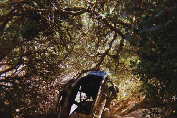 Ty Segall - Possession - BestNewMusic2025 - New Music 2025 > Q2 > W18