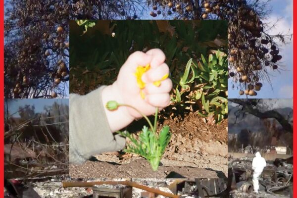 DIIV - Return of Youth - BestNewMusic2025 - New Music 2025 > Q2 > W21