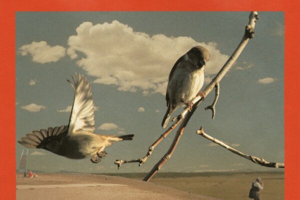 Foxwarren - Deadhead - BestNewMusic2025 - New Music 2025 > Q2 > W22