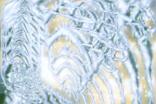 Jane Paknia - The Dream is This - BestNewMusic2025 - New Music 2025 > Q2 > W20