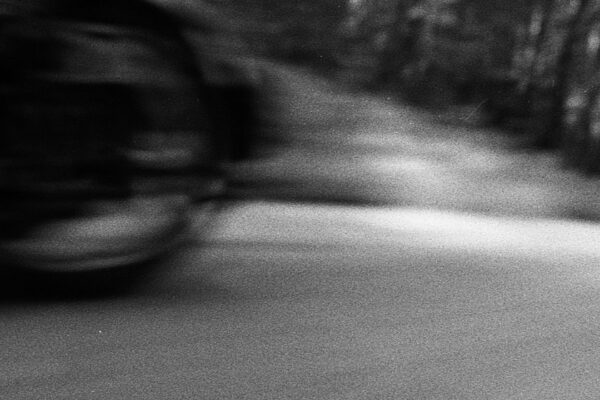 Pile - Born at Night - BestNewMusic2025 - New Music 2025 > Q2 > W20