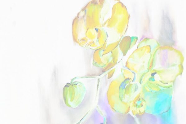 Why Bonnie - Fake Out - Bedroom Version - BestNewMusic2025 - New Music 2025 > Q2 > W22