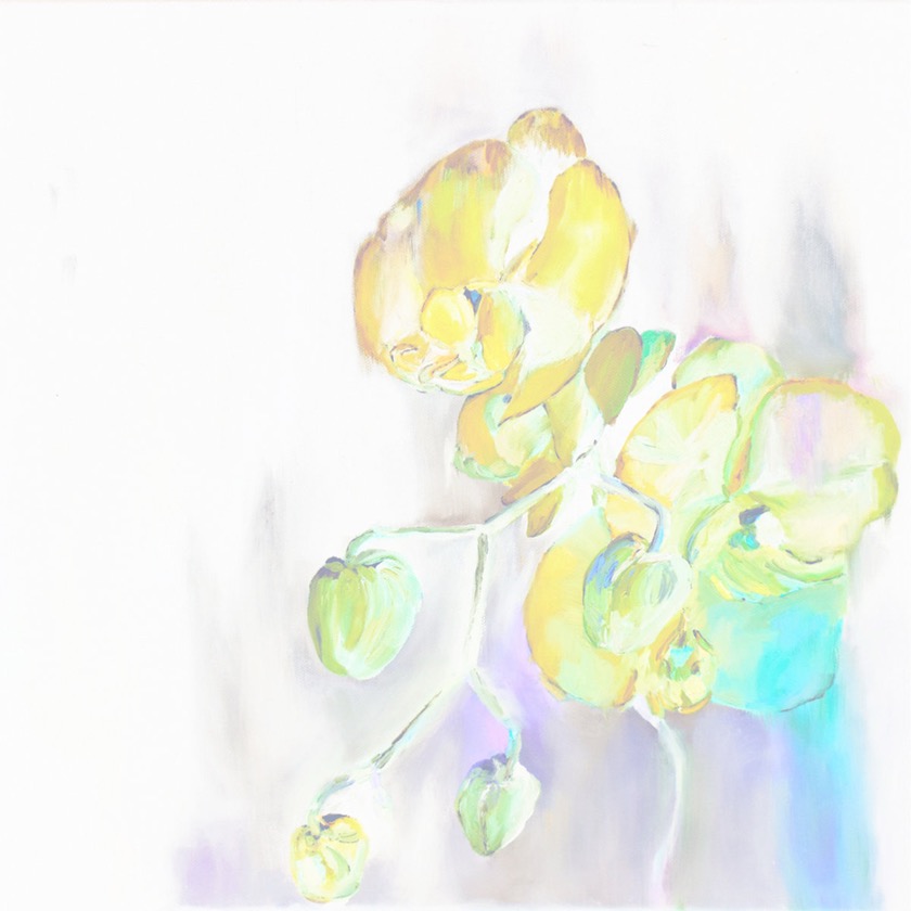 Why Bonnie - Fake Out - Bedroom Version - BestNewMusic2025 - New Music 2025 > Q2 > W22