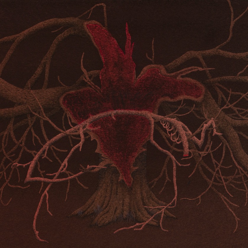 Cardinals - Big Empty Heart - BestNewMusic2025 - New Music 2025 > Q2 > W24