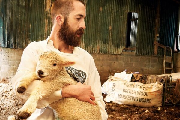 Jerskin Fendrix - Beth's Farm - BestNewMusic2025 - New Music 2025 > Q2 > W25