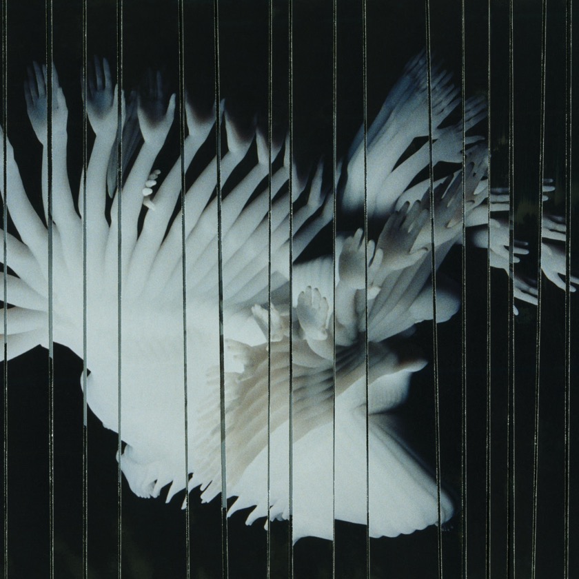 SCALER - Salt ft Akiko Haruna - BestNewMusic2025 - New Music 2025 > Q2 > W23