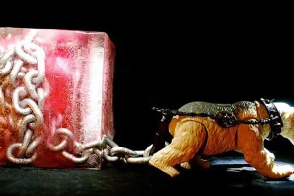 Deki Alem - Stray Dog - BestNewMusic2025 - New Music 2025 > Q3 > W32