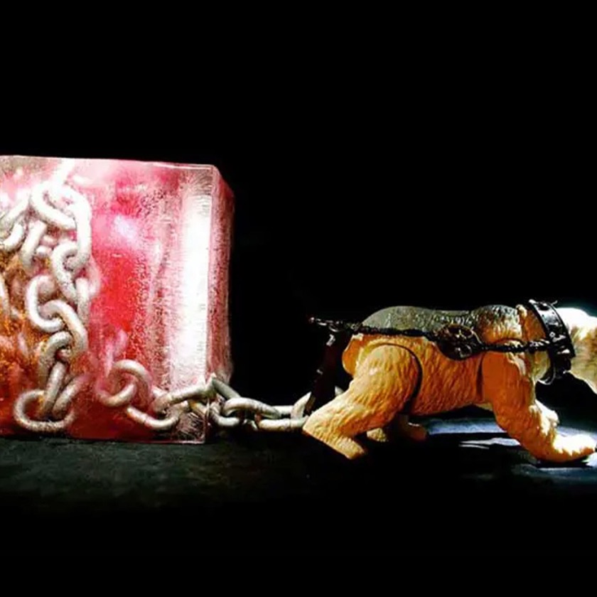 Deki Alem - Stray Dog - BestNewMusic2025 - New Music 2025 > Q3 > W32