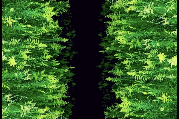 Giant Day - King Of Ghosts - BestNewMusic2025 - New Music 2025 > Q3 > W33