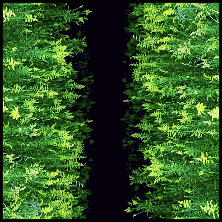 Giant Day - King Of Ghosts - BestNewMusic2025 - New Music 2025 > Q3 > W33