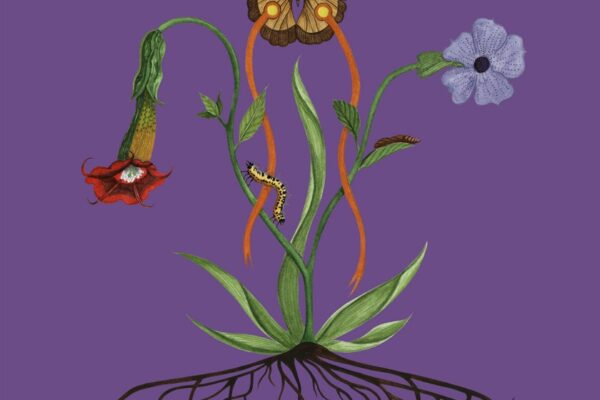 John Glacier - Couldn't Get Back - BestNewMusic2025 - New Music 2025 > Q3 > W33