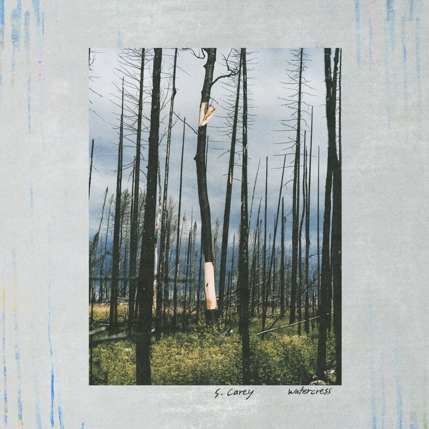 S. Carey - Watercress - BestNewMusic2025 - New Music 2025 > Q3 > W35