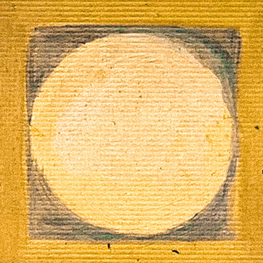 The Jacob Ifans Band - She Is The Flowers - BestNewMusic2025 - New Music 2025 > Q3 > W33