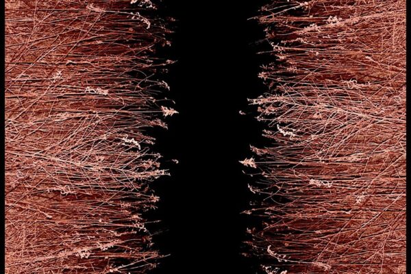 Giant Day - Golden Times - BestNewMusic2025 - New Music 2025 > Q3 > W37