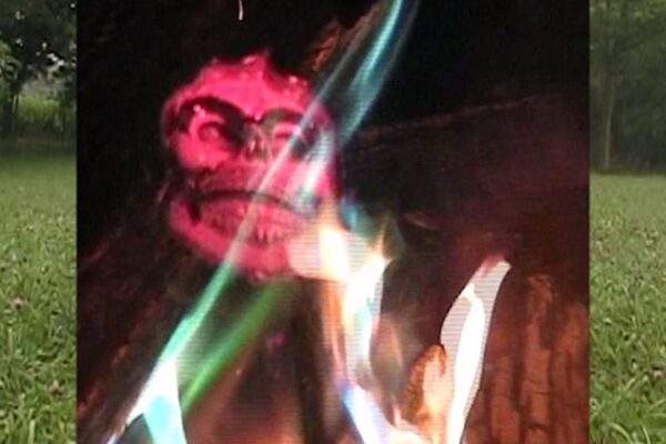 Ratboys - Light Night Mountains All That - BestNewMusic2025 - New Music 2025 > Q3 > W39