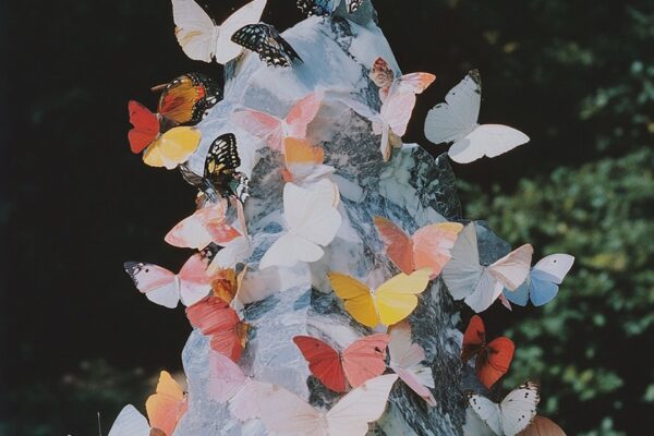 Daphni - Josephine - BestNewMusic2025 - New Music 2025 > Q4 > W40