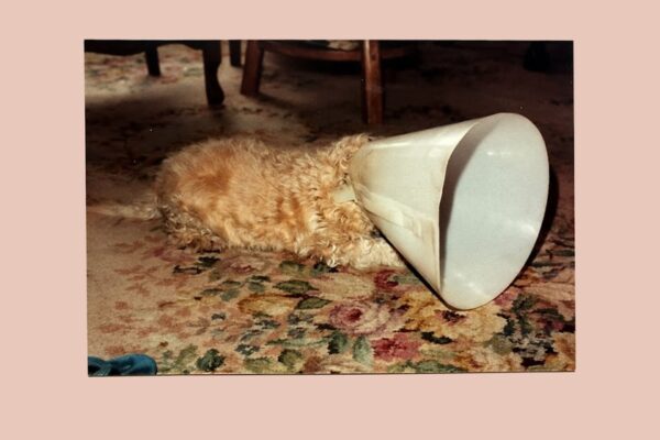 Langkamer - Crows - BestNewMusic2025 - New Music 2025 > Q4 > W42