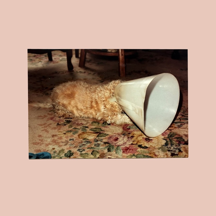 Langkamer - Crows - BestNewMusic2025 - New Music 2025 > Q4 > W42