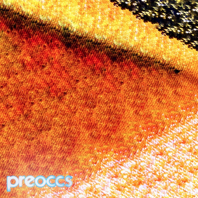 Preoccupations - MUR - BestNewMusic2025 - New Music 2025 > Q4 > W41