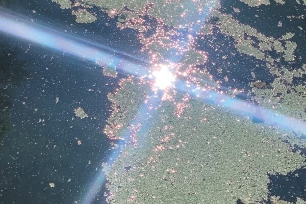 Steve Gunn - Morning on K Road - BestNewMusic2025 - New Music 2025 > Q4 > W42