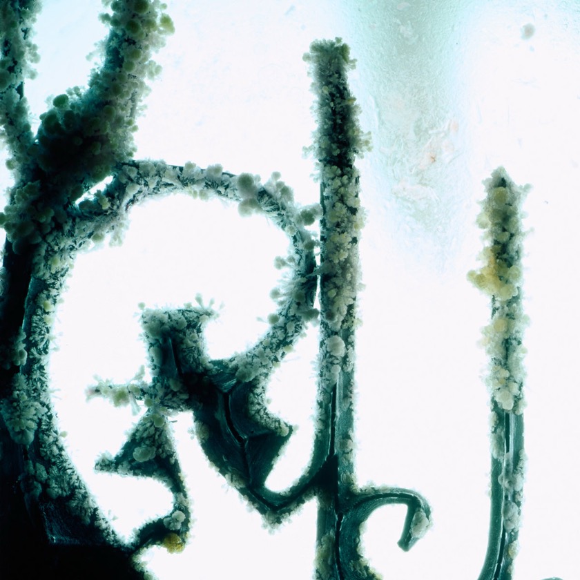 Model/Actriz - Cinderella (Olof Dreijer Remix) - BestNewMusic2025 - New Music 2025 > Q4 > W45