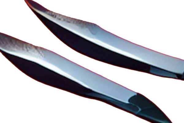 Robber Robber - Suspicious Minds - BestNewMusic2025 - New Music 2025 > Q4 > W51